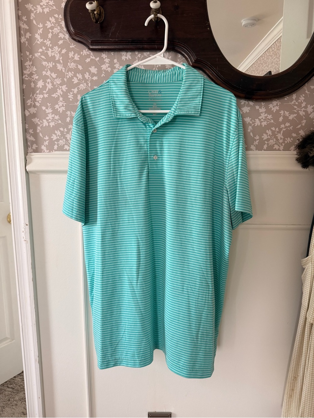 Teal striped golf shirt